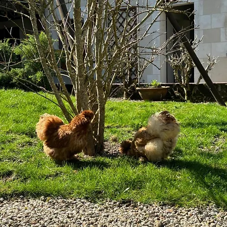 Le Petit Hureau Panzió Saumur