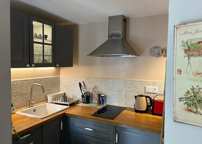 乐伯蒂特呼和住宿加早餐旅馆 3* 索米尔