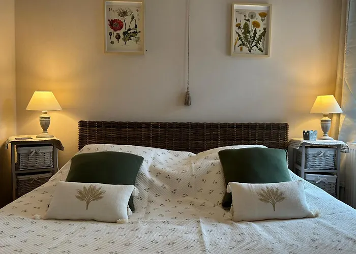 乐伯蒂特呼和住宿加早餐旅馆 住宿加早餐酒店