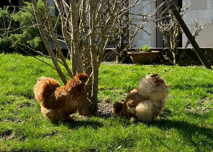 Le Petit Hureau Panzió Saumur