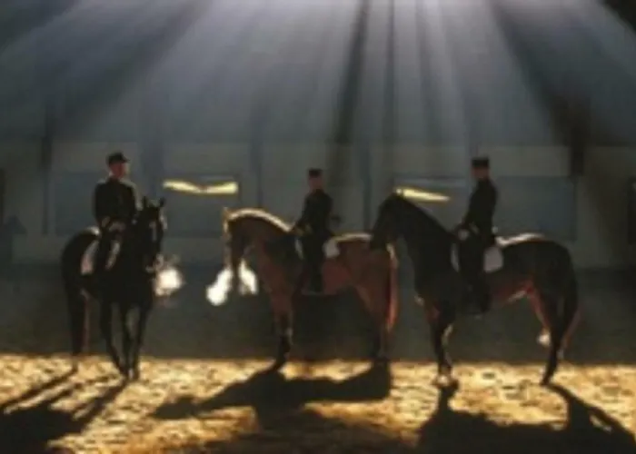 Le Petit Hureau 3* Saumur